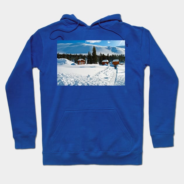 Canadian Rocky Mountains Icefields Parkway Canada Hoodie by AndyEvansPhotos